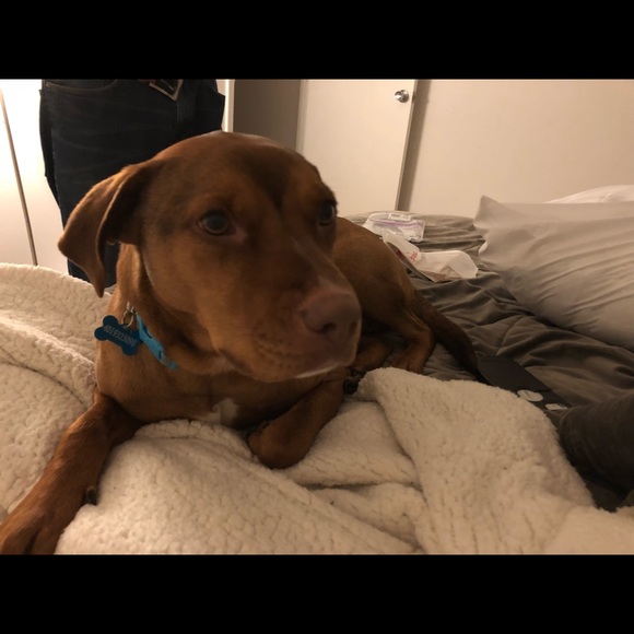 jessoliver2019